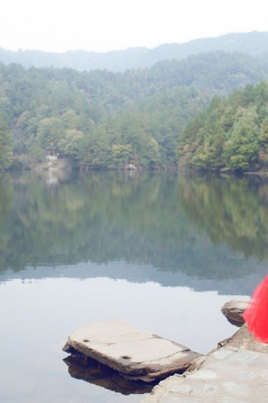 全力推进林草治理体系和治理能力现代化【2026世界杯,世界杯买球网站,世界杯投注,世界杯外围买球,世界杯竞猜】(图3) 2026世界杯,世界杯买球网站,世界杯投注,世界杯外围买球,世界杯竞猜